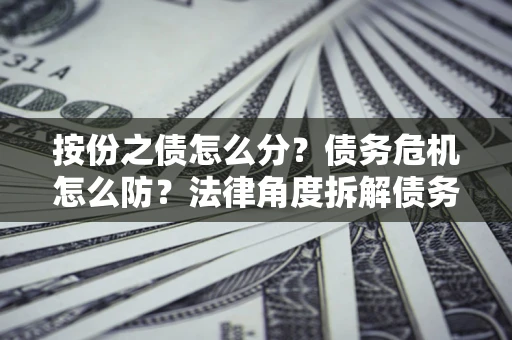 武汉按份之债怎么分？债务危机怎么防？法律角度拆解债务分配与风险自保指南