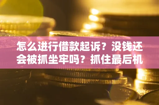 武汉怎么进行借款起诉？没钱还会被抓坐牢吗？抓住最后机会！