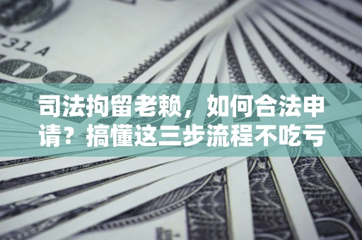 武汉司法拘留老赖，如何合法申请？搞懂这三步流程不吃亏！