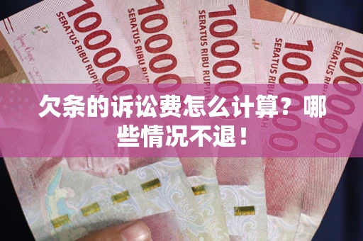 武汉欠条的诉讼费怎么计算？哪些情况不退！