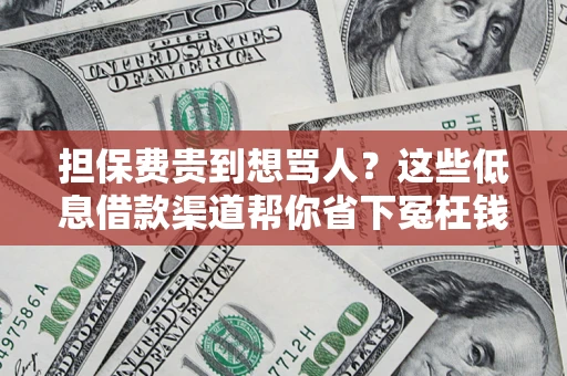 武汉担保费贵到想骂人？这些低息借款渠道帮你省下冤枉钱