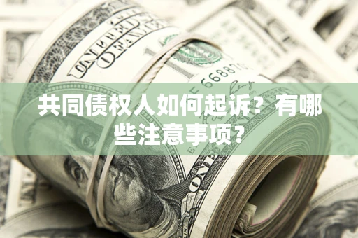 武汉共同债权人如何起诉？有哪些注意事项？